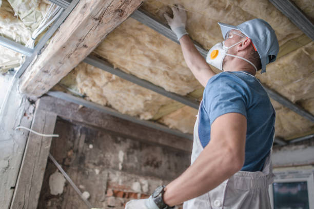 Best Insulation Maintenance and Repair in Seaville, NJ